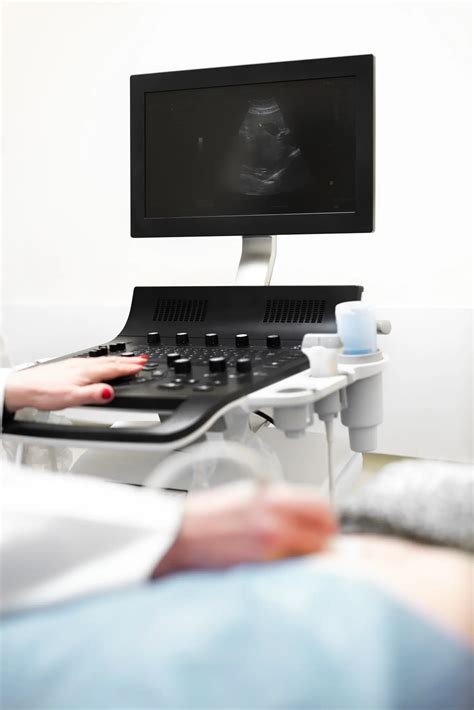 Ultrazvukové vyšetrenie gravidity u kobýl