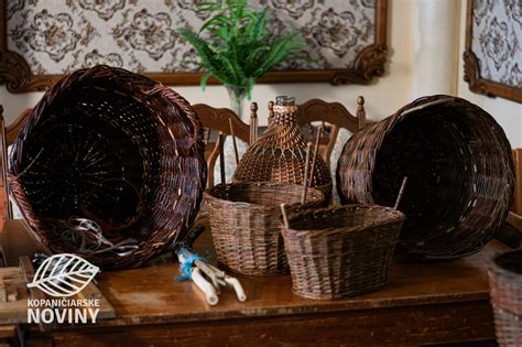 Ilustrácia rôznych typov košíkov pre bábätká