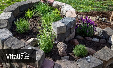 Bylinky používané v tradičnej medicíne