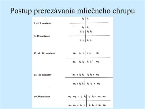 Ilustrácia vývoja mliečneho chrupu