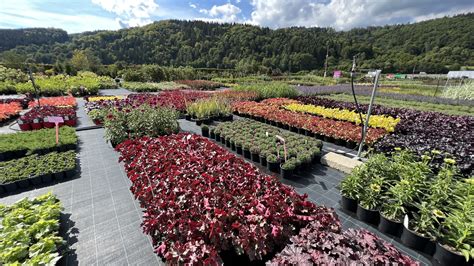 Záhradné centrum Siky Gardens