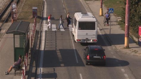 Ilustrácia slimáka na priechode pre chodcov