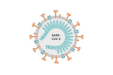 Ilustrácia miesta vpichu po očkovaní