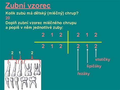 ilustrácia detského chrupu