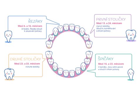 kalendár rastu mliečnych zubov