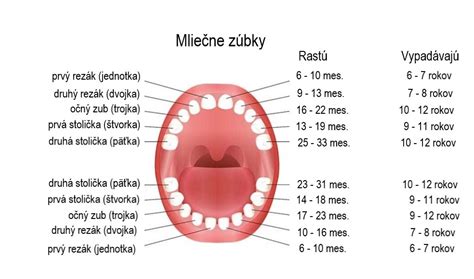 Vývoj zubov u detí