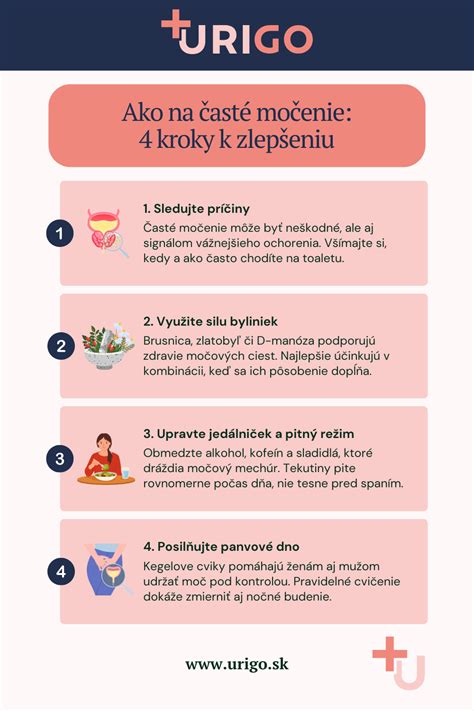 Infografika zobrazujúca kroky adopcie