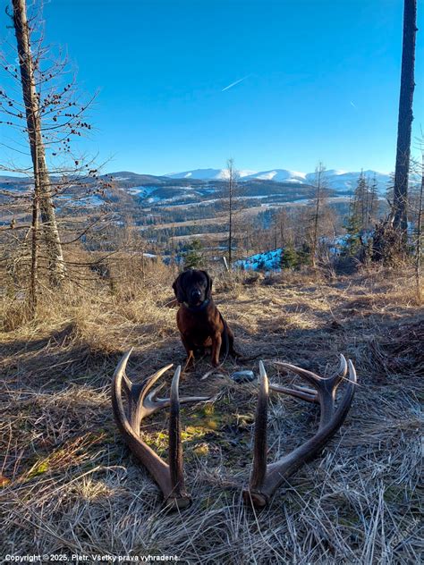 Archívna fotografia lekárov