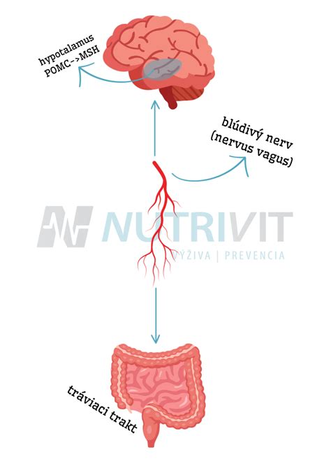 Ilustrácia symbolizujúca podporu a liečbu závislosti