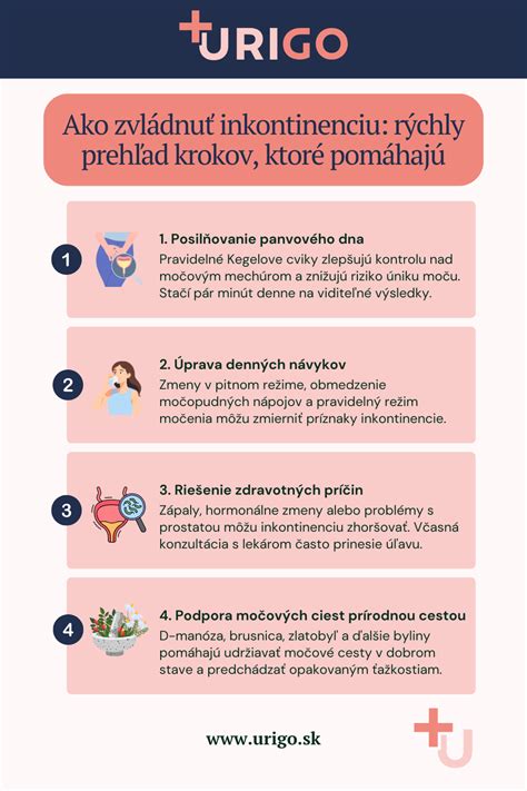 Infografika zobrazujúca kroky v procese adopcie