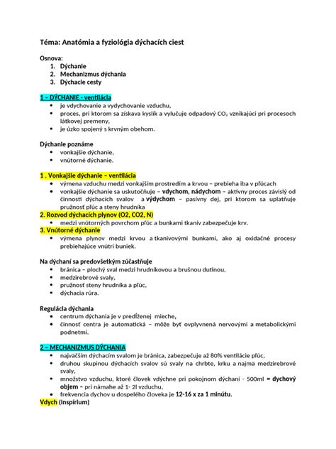 Ilustrácia dýchacích ciest novorodenca