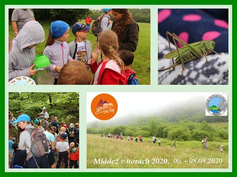 Koláž rôznych mien detí