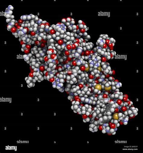 Štruktúra hormónu HCG