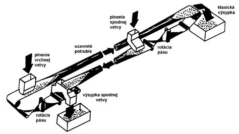 Schematické znázornenie vaječníka s rôznymi typmi cýst