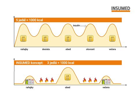Ilustrácia pôsobenia inzulínu v tele