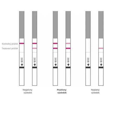 Ilustrácia princípu fungovania ovulačného testu - reakcia LH s protilátkami na testovacom prúžku