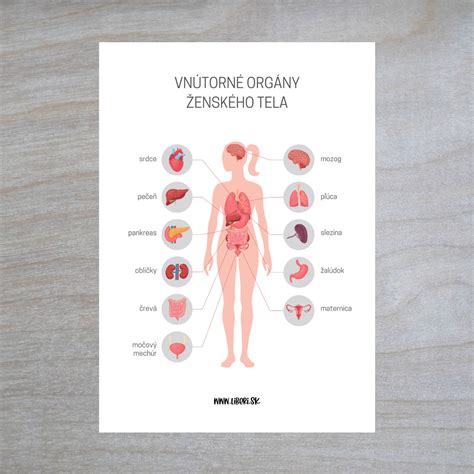 Infografika zobrazujúca rôzne orgány a systémy tela, na ktoré môže Pestrec mariánsky pôsobiť