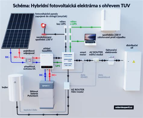 Schéma výmeny látok v placente