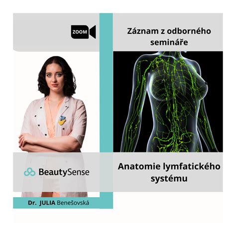 schematicke zobrazenie lymfatickeho systemu