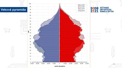Veková pyramída obyvateľstva Slovenska s dôrazom na vekové skupiny žien v reprodukčnom veku