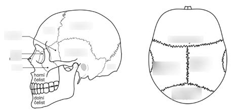 diagram detskej lebky ukazujúci tlak