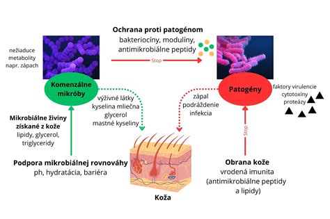 Obrázok matky a novorodenca v kontakte koža na kožu