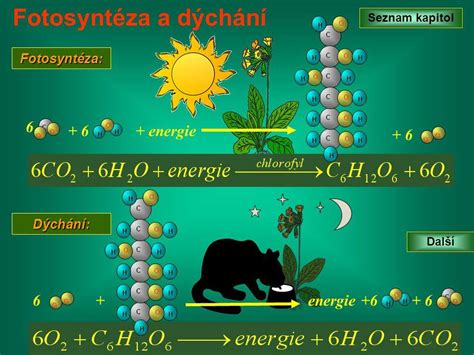 Diagram zobrazujúci molekulárnu štruktúru oxidu dusného a kyslíka