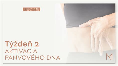 Grafické znázornenie svalov panvového dna