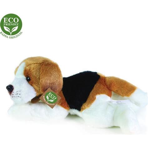 Pes ležiaci v pokojnom kúte