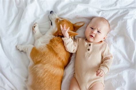 Dieťa objímajúce psa