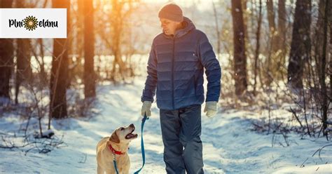 Rodina s dieťaťom a psom na prechádzke v prírode
