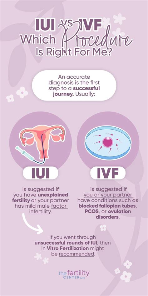 Infografika porovnávajúca úspešnosť IUI a IVF