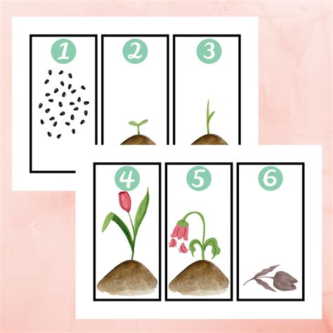 Ilustrácia znázorňujúca cyklus jedenia a pôstu