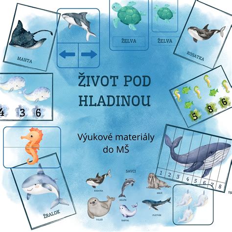 Ilustrácia kostí a ich prepojenie s hladinou vápnika