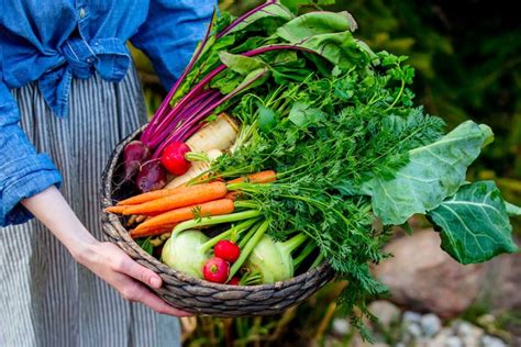 Rôzne druhy zeleniny nakrájané na malé kúsky