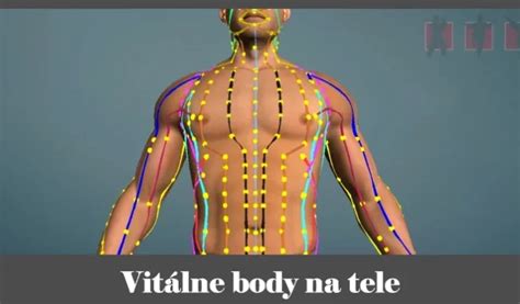 Mapa akupunktúrnych bodov