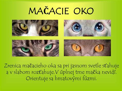 Ilustrácia mačacieho oka s vplyvom svetla