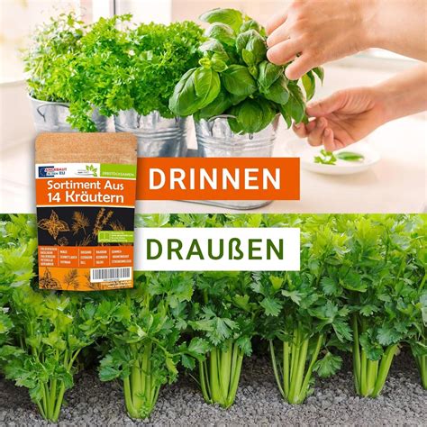 Ilustrácia rôznych byliniek a zeleniny používaných v Breussovej kúre.