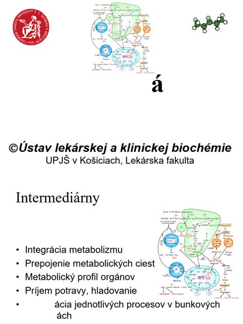 Diagram zobrazujúci metabolizmus bilirubínu
