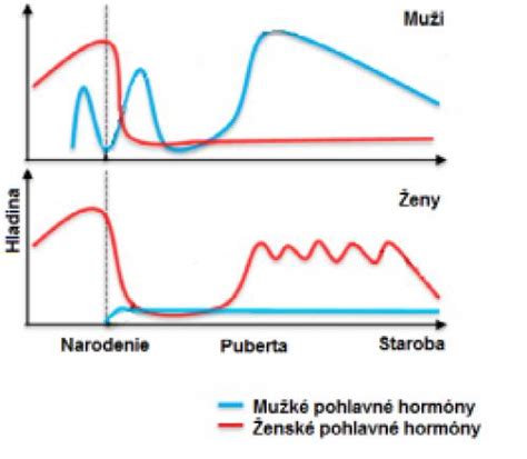 Grafické znázornenie hormonálnych zmien počas estrického cyklu