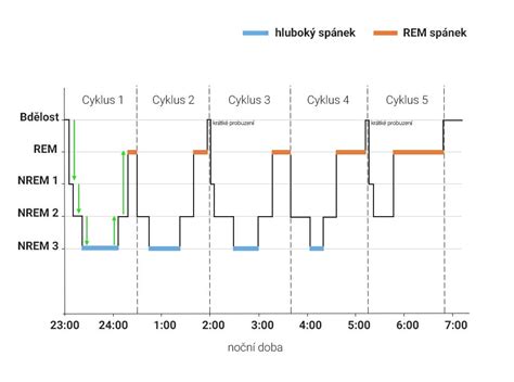 Graf znázorňujúci spánkové cykly