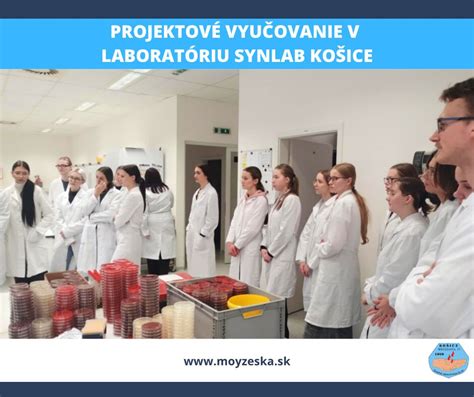 Ilustračná fotografia slovenských vedcov pracujúcich v laboratóriu