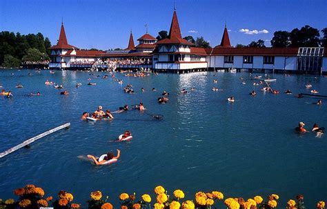 Termálne jazero Hévíz s leknami