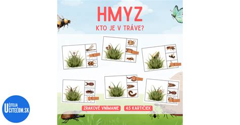 Dieťa pozoruje hmyz v tráve