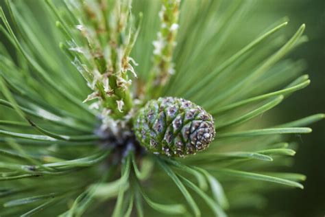 ilustračné foto modrín