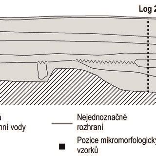 diagram znázorňujúci penis s vyznačenými časťami: žaluď, predkožka