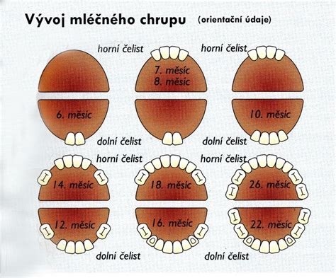 Detský chrup s mliečnymi zubami