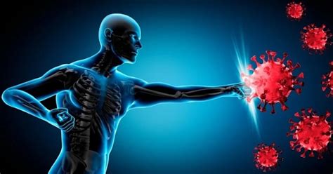 ilustrácia znázorňujúca imunitný systém