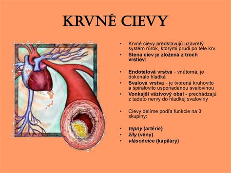 Diagram znázorňujúci vplyv nezdravej stravy na srdce a cievy