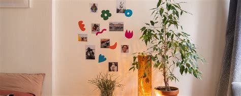 Koláž fotografií zobrazujúcich rôzne predmety úhľadne uložené v organizéri